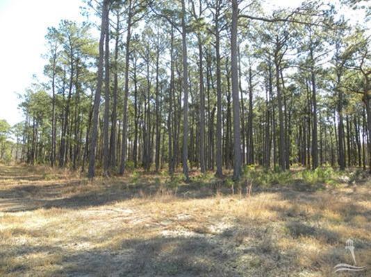 6095 Isla Mona Dr Southwest, Brunswick Plantation Area, North Carolina Homes & Land - Real Estate