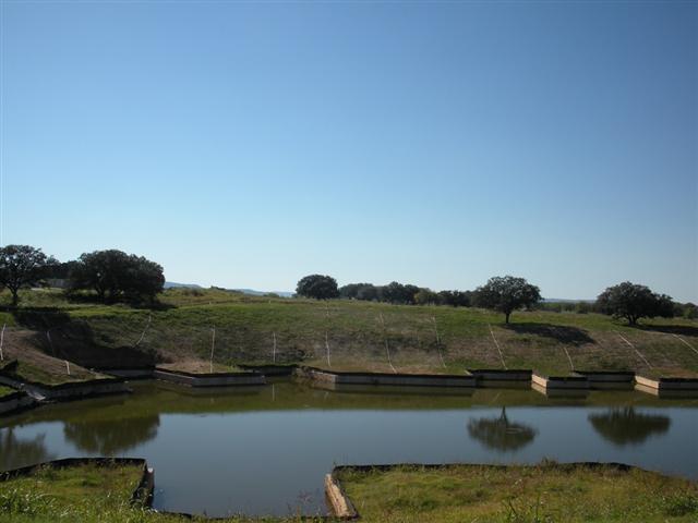 6 Clearwater Landing, Kingsland