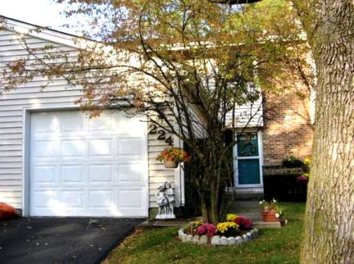 224 DOUGLASS Way, Bolingbrook, Illinois Homes & Land - Real Estate