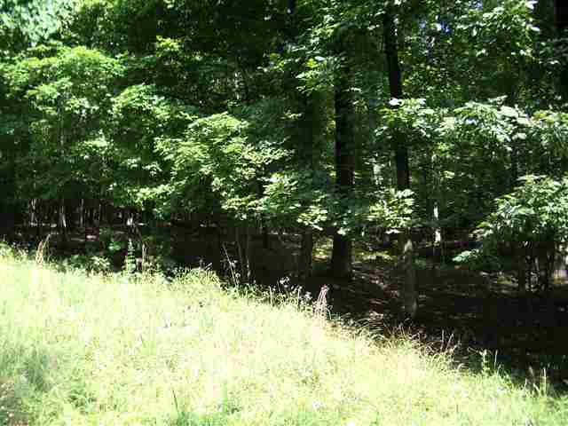 24-25 North Woodward Avenue BLUEGRASS ESTATES, Cadiz in Clarksville, Kentucky Real Estate - Homes & Land